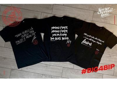 BIG4BIP