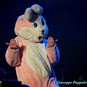 25 maggio 2013 - Piazza Unit&agrave; d&#039;Italia - Trieste - Green Day in concerto