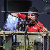18 luglio 2017 - Flowers Festival - Parco della Certosa Reale - Collegno (To) - Einsturzende Neubauten in concerto