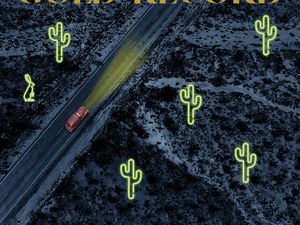 Concerti, Bill Callahan: a febbraio unica data italiana