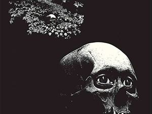 Thee Oh Sees: nuovo album e disco solista per John Dwyer