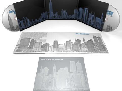 Un anno dopo: i due superstiti dei Beastie Boys firmano per un libro