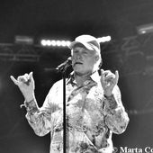 26 luglio 2012 - Rock in Roma - Ippodromo delle Capannelle - Roma - Beach Boys in concerto