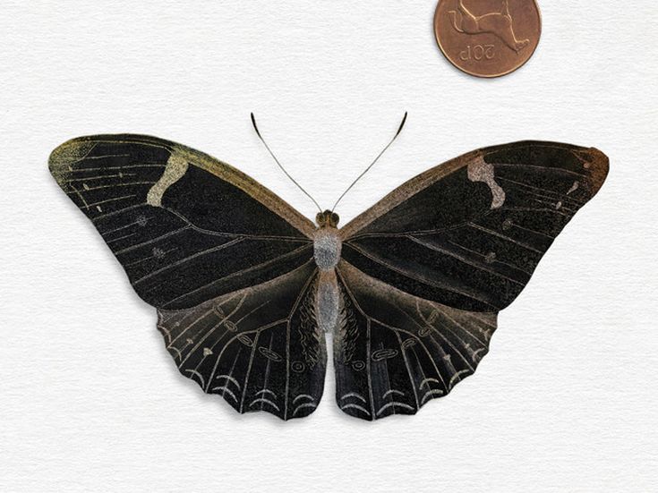 THAT GOLDEN TIME Villagers