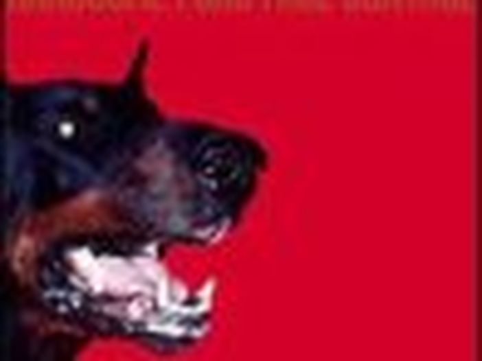 Concerti, Handsome Furs: unica data italiana a Marina di Ravenna ad agosto