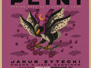 Plini