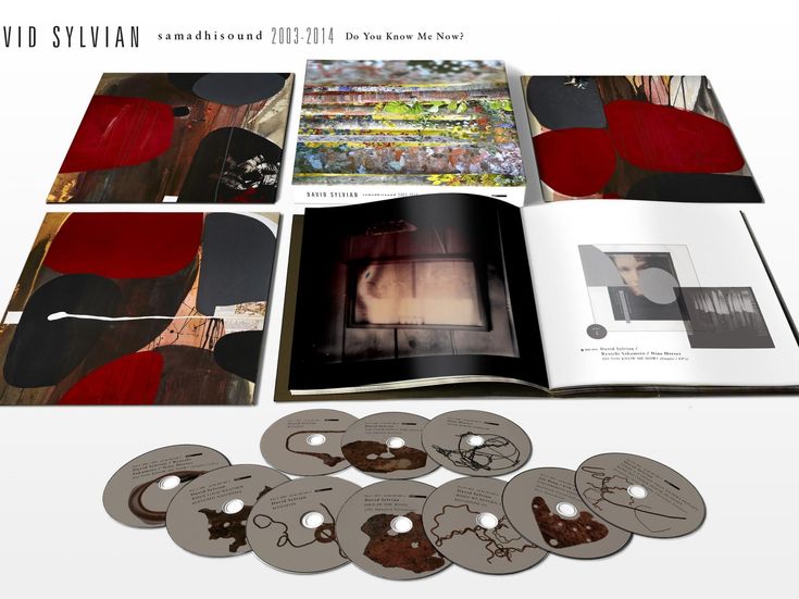 Concerti, David Sylvian: tour annullato per problemi alla schiena