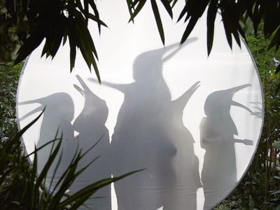 RAIN BEFORE SEVEN Penguin Café