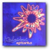 Agricantus - KALEIDOS