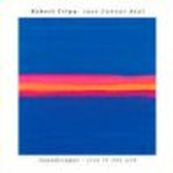 Robert Fripp - LOVE CANNOT BEAR