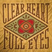 Craig Finn - CLEAR HEART FULL EYES
