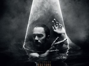 Editors, Tricky e gli altri: è il Berlin Festival