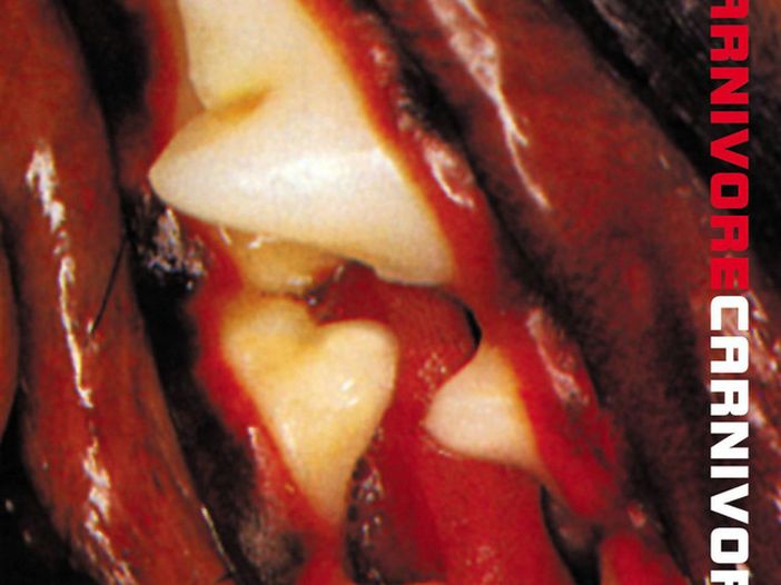 Nel 2001 la ri-pubblicazione dei primi due dischi dei Carnivore