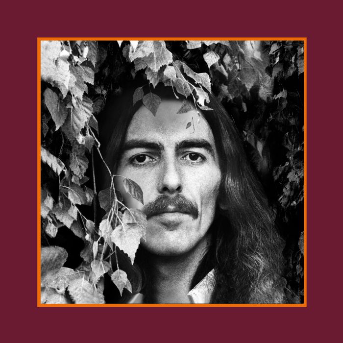 https://images.rockol.it/UAg11n0hJTr2uEbzMvujUbmofF8=/700x0/smart/rockol-img/img/foto/upload/the-george-harrison-vinyl-collection-flat-packshot.jpg