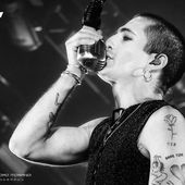 20 marzo 2023 - Mandela Forum - Firenze - Maneskin in concerto 20 marzo 2023 - Mandela Forum - Firenze - Maneskin in concerto