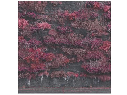 √ Sleep Token: in arrivo il nuovo album "Even In Arcadia" - Rockol