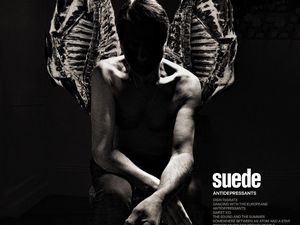 ANTIDEPRESSANTS Suede