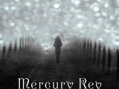 I Mercury Rev di &apos;The secret migration&apos;: &apos;Volevamo un disco fuori dal tempo&apos;