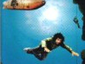 RUMBO SUBMARINO Macaco