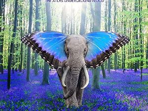 New York: anche Tom Morello (RATM, Nightwatchman) dai manifestanti a Wall Street