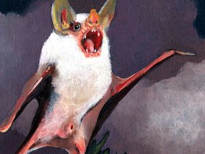 Ninos du Brasil: l&apos;album, il remix di Congorock e il brano con Arto Lindsay