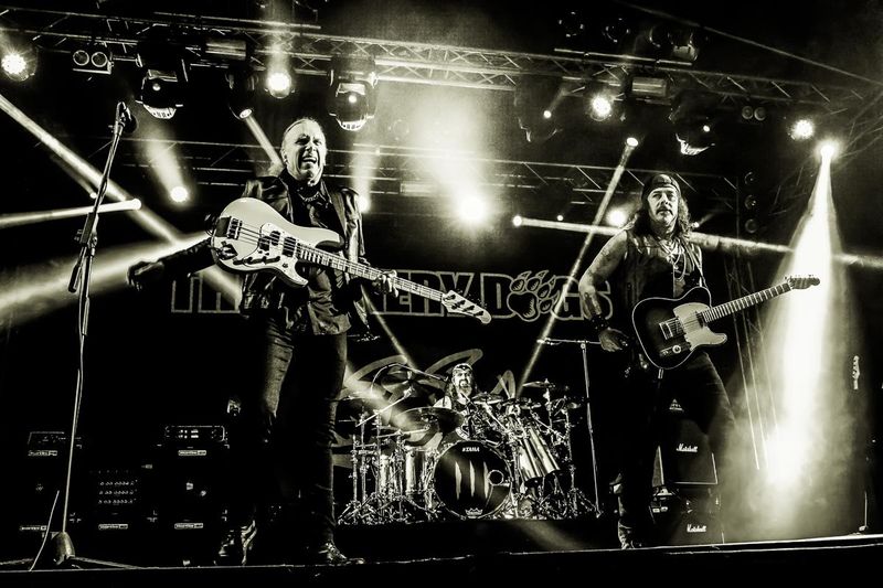 1 novembre 2023 - Estragon - Bologna - Winery Dogs in concerto