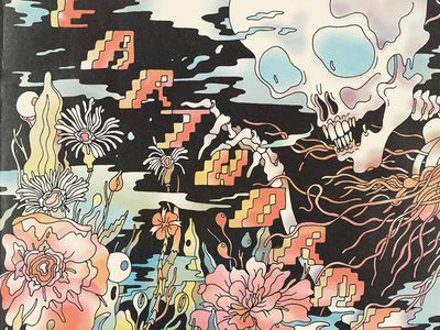 Shins ancora più indie: il prossimo disco se lo pubblicano loro