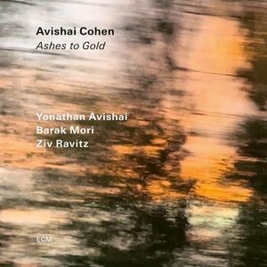 Avishai Cohen