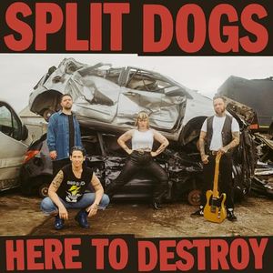 Split Dogs Split Dogs