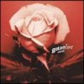 Gotan Project - GOTAN PROJECT LIVE