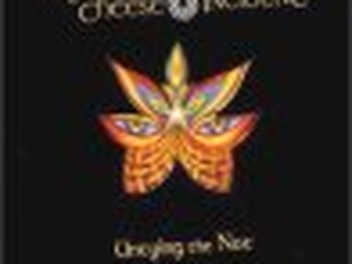 USA, gli String Cheese Incident contro Ticketmaster: 'Monopolizza il mercato'