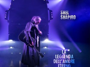 Shel Shapiro