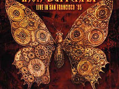 Trovati i resti del bassista degli Iron Butterfly?