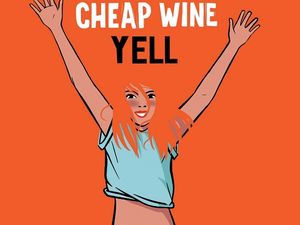 Comunicato Stampa: I Cheap Wine in studio