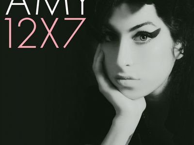 La famiglia di Amy Winehouse blocca la vendita del testo di &apos;Love is&apos;