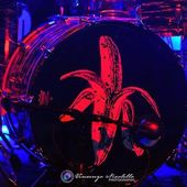 14 maggio 2016 - Bronson - Ravenna - Dandy Warhols in concerto
