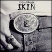 Melissa Etheridge - SKIN