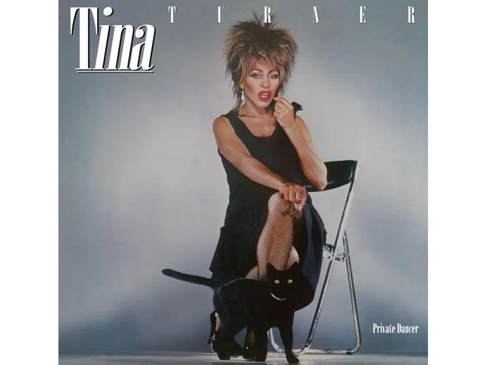 Tina Turner: il figlio Craig si &egrave; suicidato