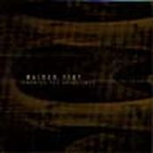 Raised Fist - IGNORING THE GUIDELINES