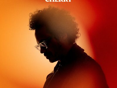 Eagle-Eye Cherry e Shania Twain premiati ai BMI Pop Awards 
