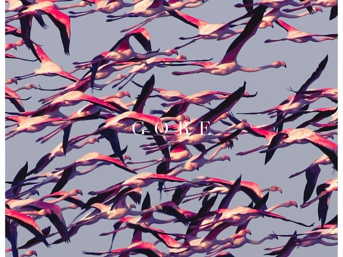 Donate ai Deftones le chiavi della citt&agrave; di Sacramento