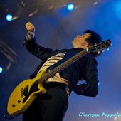 25 maggio 2013 - Piazza Unit&agrave; d&#039;Italia - Trieste - Green Day in concerto