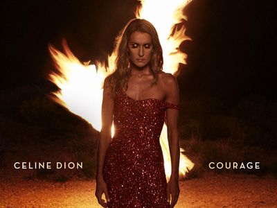 Citata in giudizio Celine Dion per una vicenda di biancheria intima...