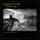 ALIVE IN THE CATACOMBS Queens of the Stone Age