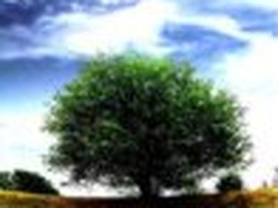 Milagro, il ritorno dopo sei anni. VIDEO