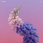 Flume - SKIN