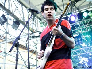 Animal Collective