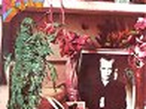 Brian Eno: la sua app Bloom è tornata, ed è tutta nuova