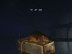 SBTRKT, ecco il cruento video di ‘Trials of the past’. Guarda