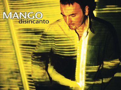 Festival di Sanremo, i campioni in gara